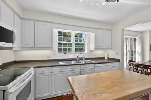 126 Forest Hill Crescent, Hamilton, ON - Indoor Photo Showing Kitchen With Double Sink