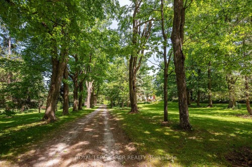 836081 4Th Line E, Mulmur, ON 