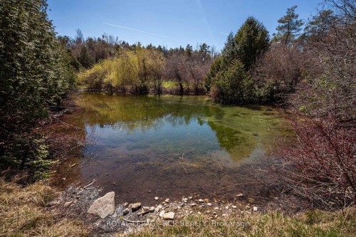 836081 4Th Line E, Mulmur, ON 