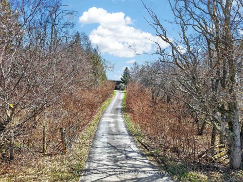 796343 3Rd Line E, Mulmur, ON - Outdoor With View