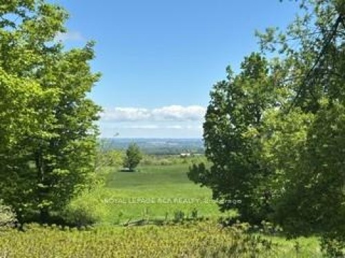 796343 3Rd Line E, Mulmur, ON - Outdoor With View