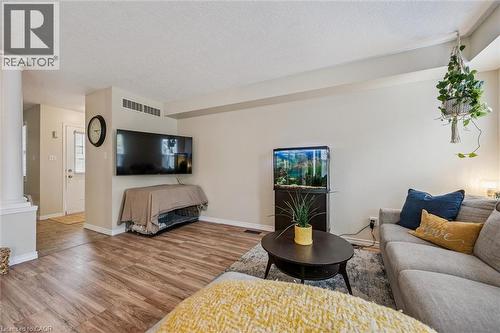 51 Cannes Street, Kitchener, ON - Indoor Photo Showing Living Room