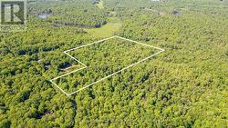 1061 SOUTH MULDREW LAKE ROAD Gravenhurst (Morrison), ON P0E 1G0