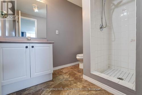 23 Annapolis Way, Hamilton, ON - Indoor Photo Showing Bathroom