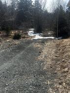 23-25 Linegar Avenue St. John's, NL A0A 1J0