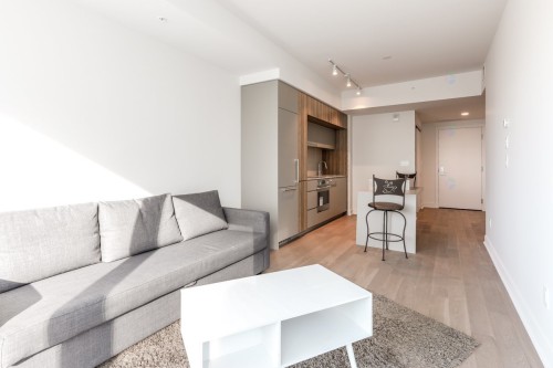 Salon - 905-1288 Rue St-Antoine O., Montréal (Ville-Marie), QC - Indoor Photo Showing Living Room
