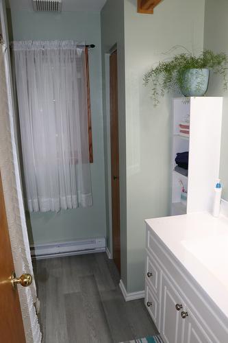 432 Bayles Road, Nakusp, BC - Indoor Photo Showing Bathroom