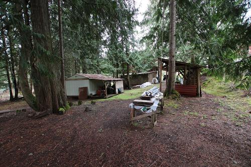 432 Bayles Road, Nakusp, BC - Outdoor