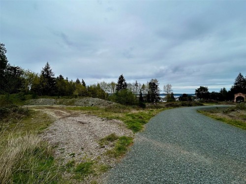 2950 Elm St, Chemainus, BC - Outdoor With View