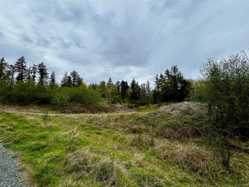 2950 Elm St, Chemainus, BC - Outdoor With View