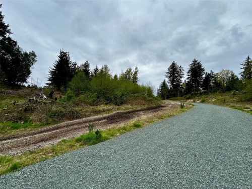 2950 Elm St, Chemainus, BC - Outdoor With View