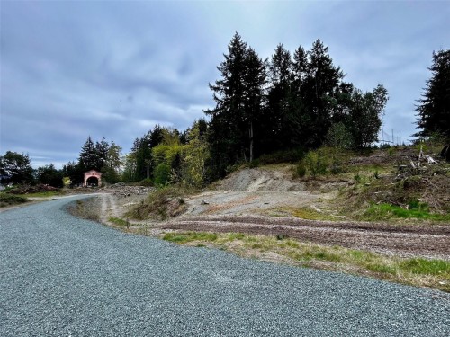 2950 Elm St, Chemainus, BC - Outdoor With View