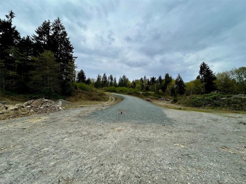 2950 Elm St, Chemainus, BC - Outdoor With View