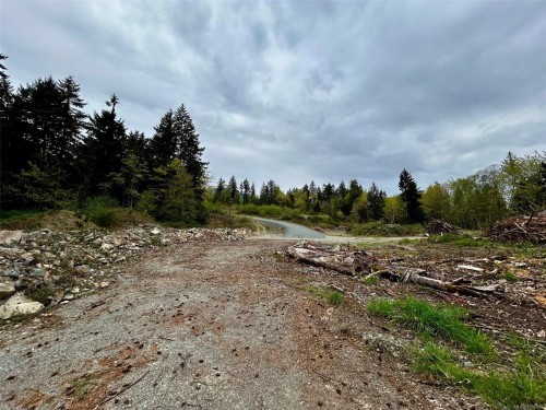 2950 Elm St, Chemainus, BC - Outdoor With View