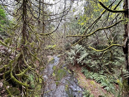 2950 Elm St, Chemainus, BC - Outdoor