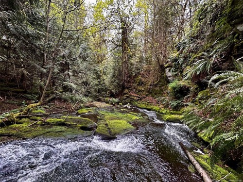 2950 Elm St, Chemainus, BC - Outdoor