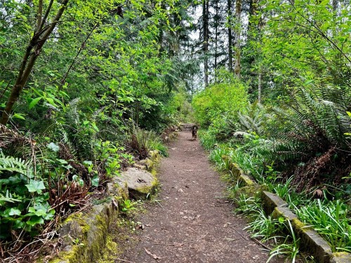 2950 Elm St, Chemainus, BC - Outdoor
