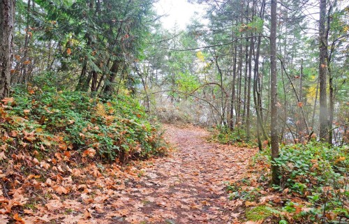 7072 Willis Point Rd, Central Saanich, BC 