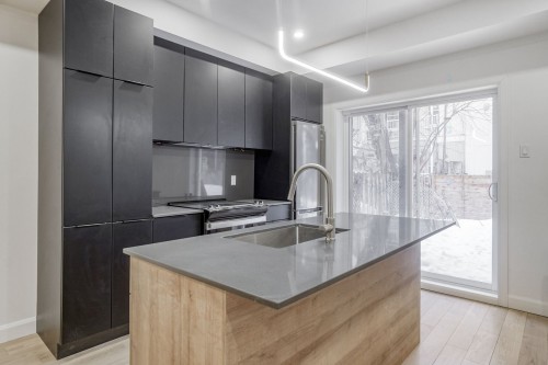 Cuisine - 4319 Rue Parthenais, Montréal (Le Plateau-Mont-Royal), QC - Indoor Photo Showing Kitchen With Upgraded Kitchen