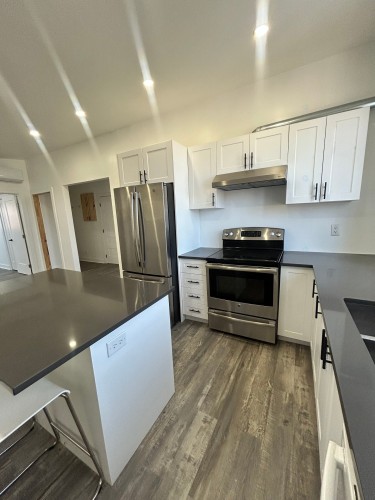 Kitchen - 741 Rue Du Caven Circle, Montréal (Saint-Laurent), QC - Indoor Photo Showing Kitchen