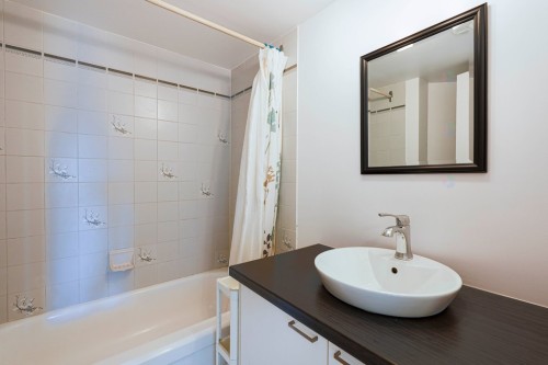 Salle de bains - 605-259 Rue Champlain, Gatineau (Hull), QC - Indoor Photo Showing Bathroom