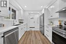 201 Ridge Street, Hamilton, ON  - Indoor Photo Showing Kitchen With Double Sink With Upgraded Kitchen 