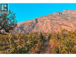 2155 Newton Road  Cawston, BC V0X 1C1