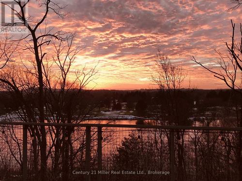 50 Greensview Drive, Kitchener, ON - Outdoor With View
