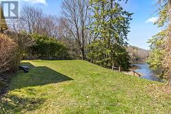 BACK YARD - 