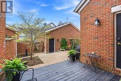 Low maintenance garden - 