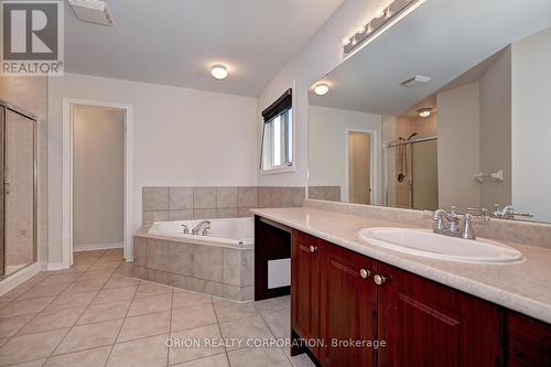 48 Apple Ridge Drive, Kitchener, ON - Indoor Photo Showing Bathroom