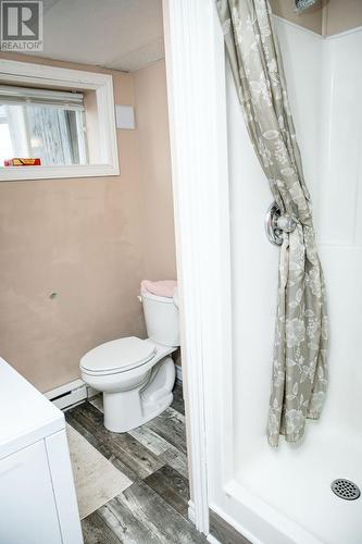 68 Fox Harbour Road, Dunville, NL - Indoor Photo Showing Bathroom