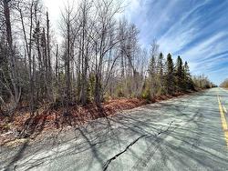 53.1 Acres Route 117  Napan, NB E1N 4Y7