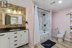 Lower Level Bathroom - 