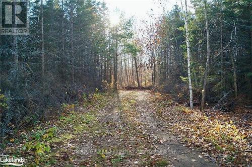 Pl 20 Concession 18 W, Tiny, ON 