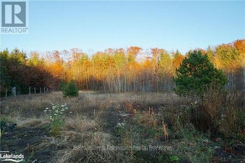 Pl 20 Concession 18 W, Tiny, ON 