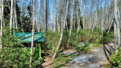 1017 Oliview Dr Hyde Creek, BC V0N 2R0
