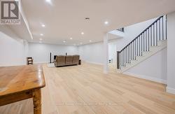 Basement rec room - 