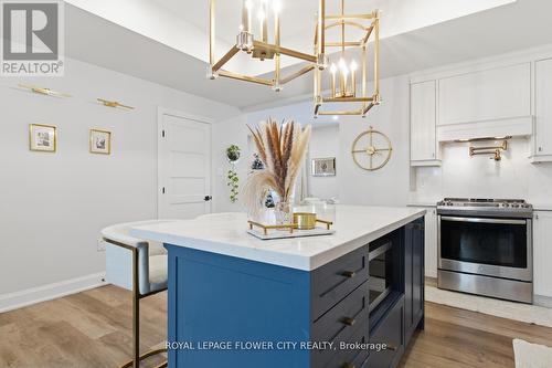 13 Grafton Avenue, Hamilton, ON - Indoor Photo Showing Kitchen