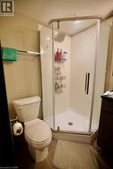 Corner glass-enclosed shower with a rainfall showerhead, white shower base, and integrated shelving - 
