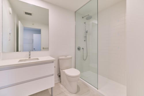Salle de bains - 624-50 Rue De L'Éclipse, Brossard, QC - Indoor Photo Showing Bathroom