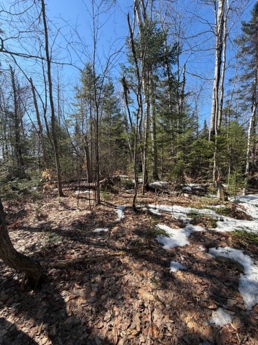 Terre/Terrain - Rue Des Genévriers, Chertsey, QC 