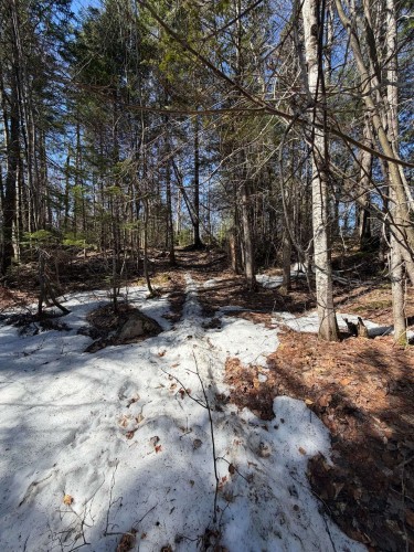 Terre/Terrain - Rue Des Genévriers, Chertsey, QC 