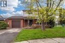 55 Yarmouth Court, Hamilton, ON  - Outdoor 