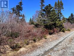 Lot 14 Whiskey Hill Bay Roberts, NL A0A 3V0
