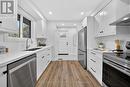 201 Ridge Street, Hamilton, ON  - Indoor Photo Showing Kitchen With Double Sink With Upgraded Kitchen 