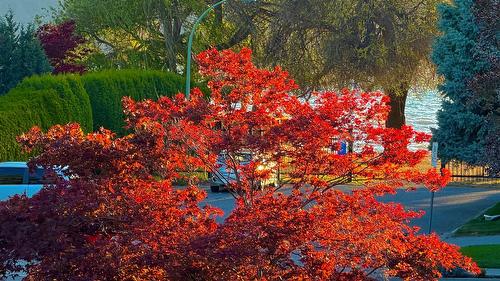 338 Burne Avenue, Kelowna, BC - Outdoor