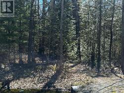 LOT 7 CHAMPLAIN ROAD Tiny, ON L9M 0B6