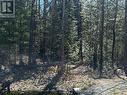 Lot 7 Champlain Road, Tiny, ON 
