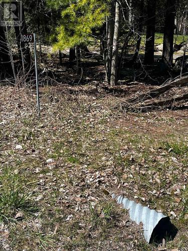 Lot 7 Champlain Road, Tiny, ON 